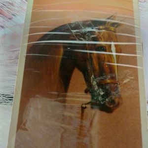 Rare Vintage Horse Playing Cards